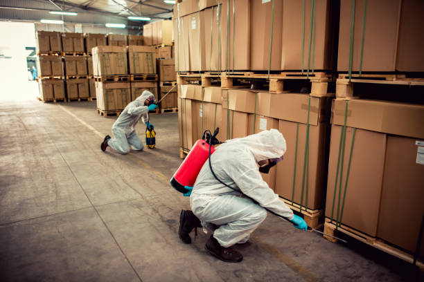 Best Pest Control Near Me  in Montague, MI