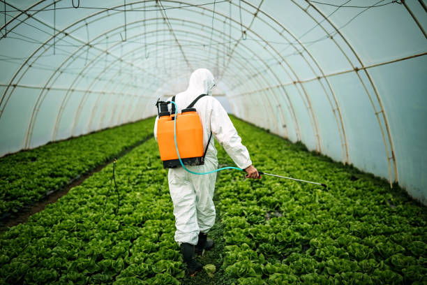 Best Emergency Pest Control  in Montague, MI