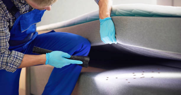 Best Bed Bug Extermination  in Montague, MI